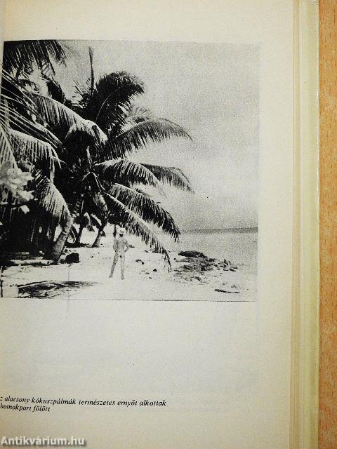 Egyszemélyes sziget