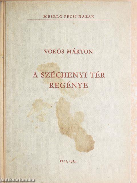 A Széchenyi tér regénye