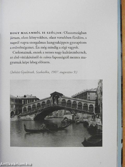 Kosztolányi Velencéje