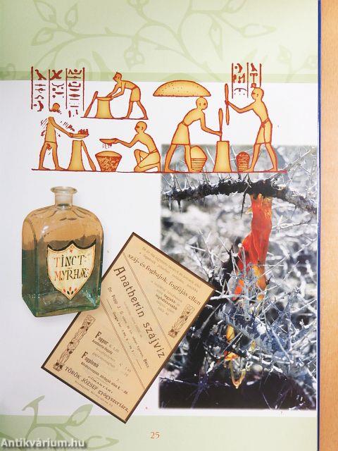 Az ember és a természet a gyógyszerészetben