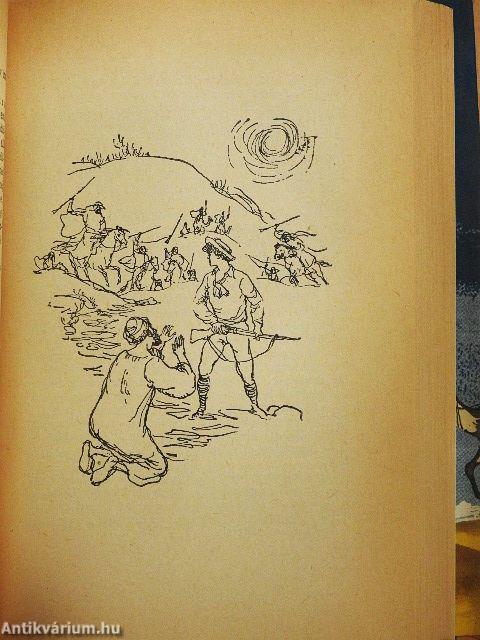 Sivatagon és vadonban