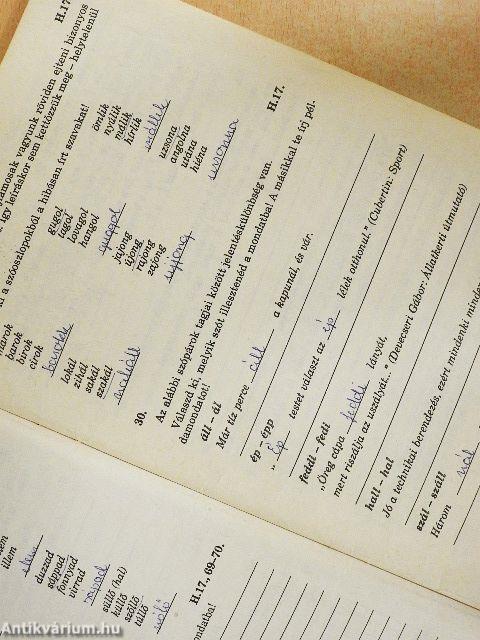 Helyesírási gyakorlófüzet 8. osztály