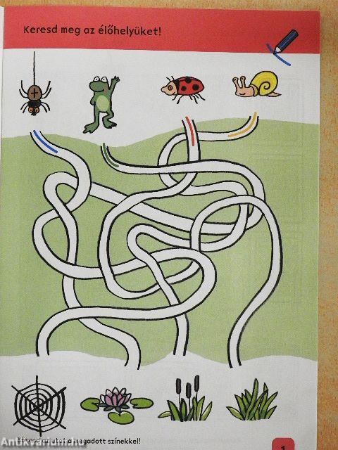 Kis számok nagy világa