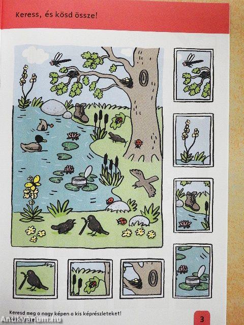 Kis számok nagy világa