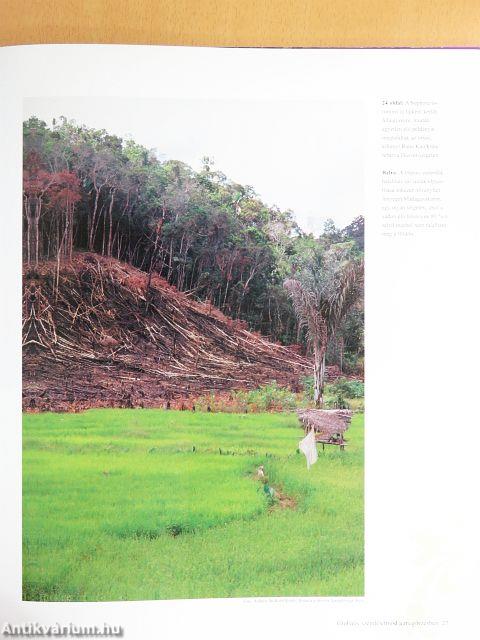 A világ legnagyobb botanikus kertjei