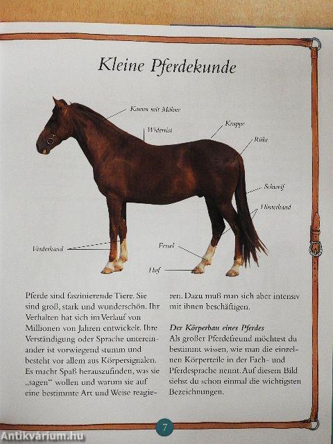 Mein erstes Pferdebuch