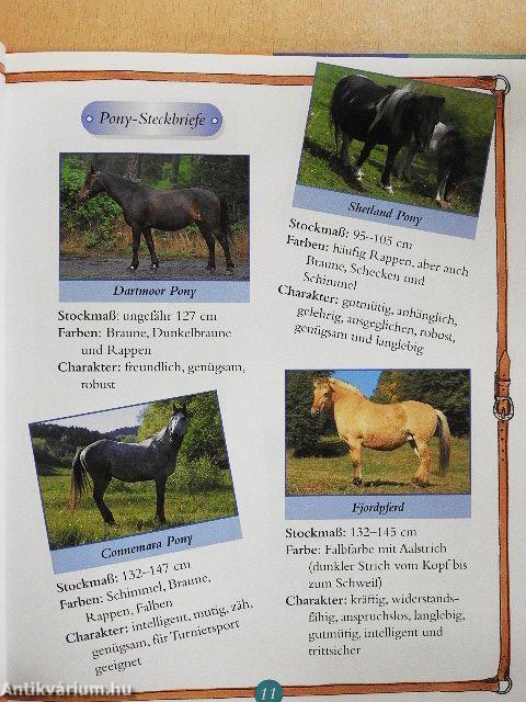 Mein erstes Pferdebuch