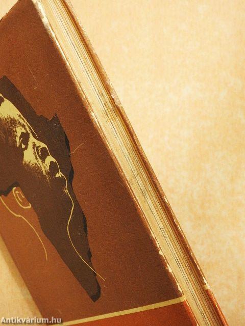 Feketék és fehérek Kongóban