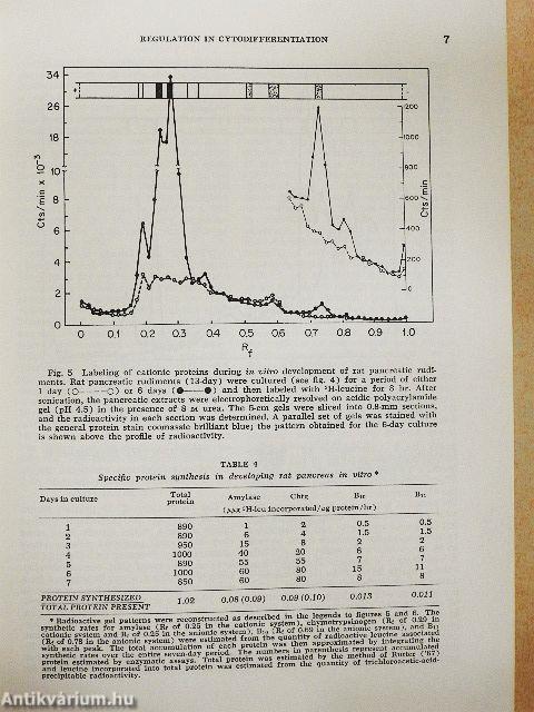 Symposium on molecular aspects of differentiation