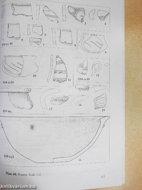 The Late Bronze Age Settlements of Petea-Csengersima