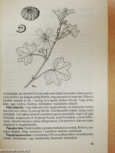 Ételek erdő, mező növényeiből