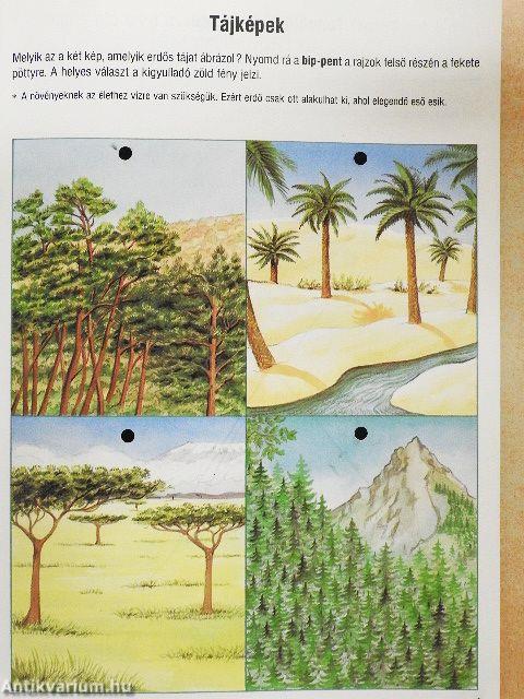 Bip-bip hurrá! Tanulj, játssz, fedezd fel a bip-pennel az erdő világát!