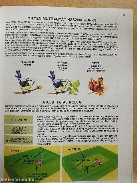 Pázsit és gyepszőnyeg