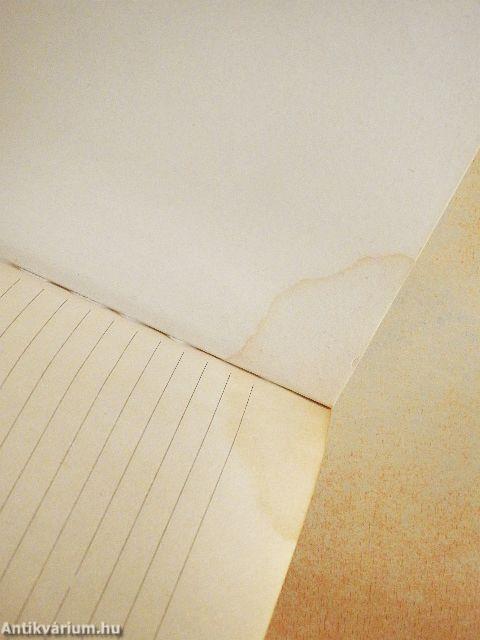 A magyar irodalom halhatatlanjai