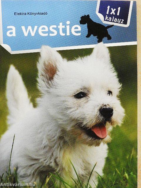 A westie