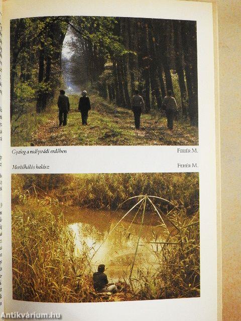 Körös-Sárréti Útikalauz