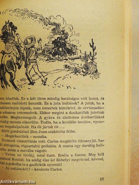 A fehér törzsfőnök