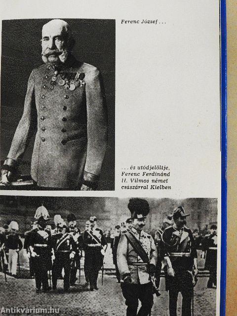 Szarajevótól a háborúig