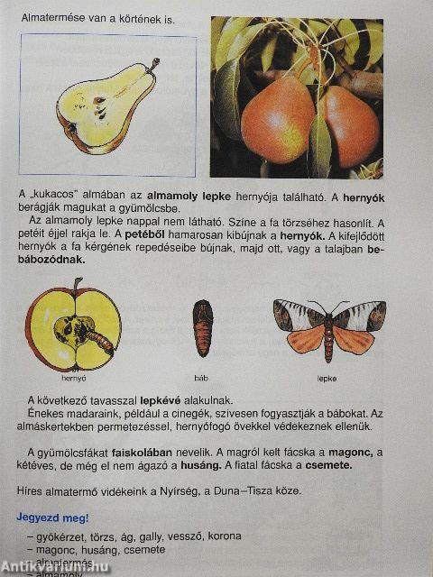 Természetismeret 5. - Tankönyv