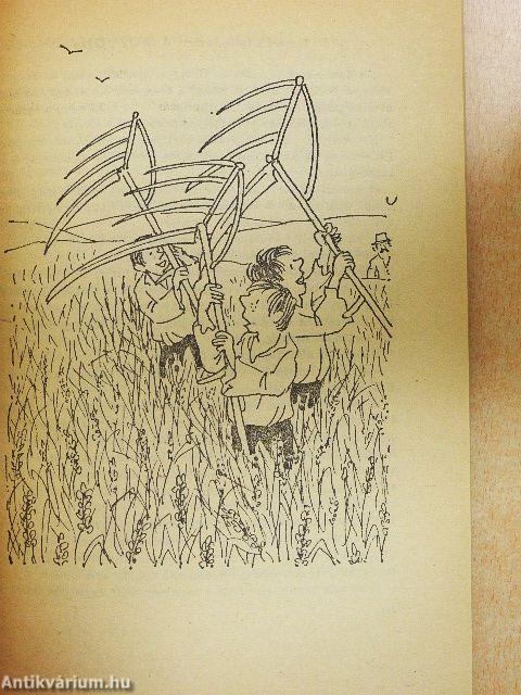 Kalandos vakáció/Az Északi Park felfedezése