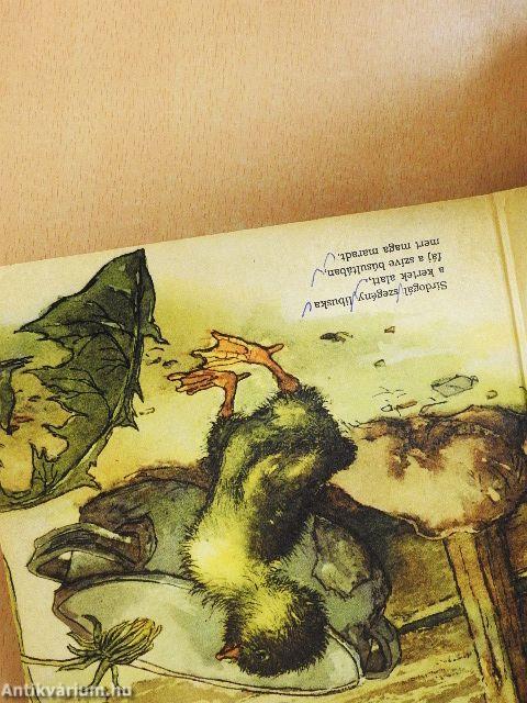 Az elveszett kisliba