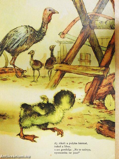 Az elveszett kisliba