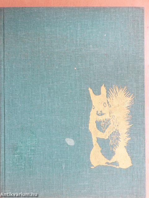 Csendes vadászat