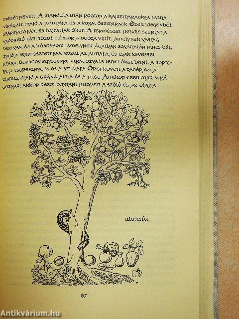 A természet históriája