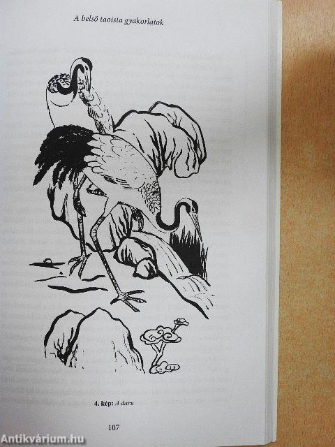 Az öngyógyítás teljes rendszere