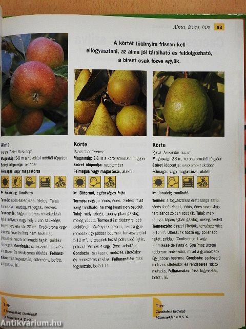 Gyümölcsök, zöldségek és fűszernövények