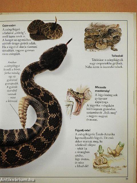 Csudálatos kígyók