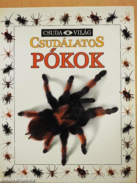 Csudálatos pókok