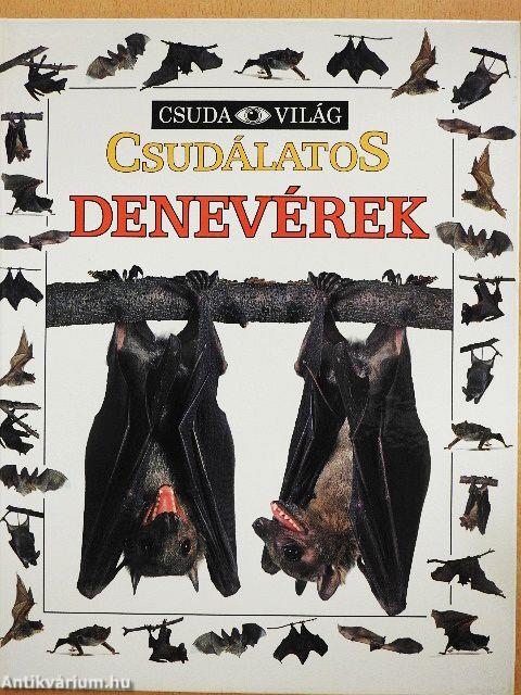 Csudálatos denevérek