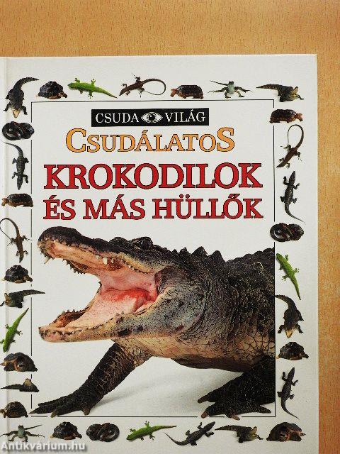Csudálatos krokodilok és más hüllők