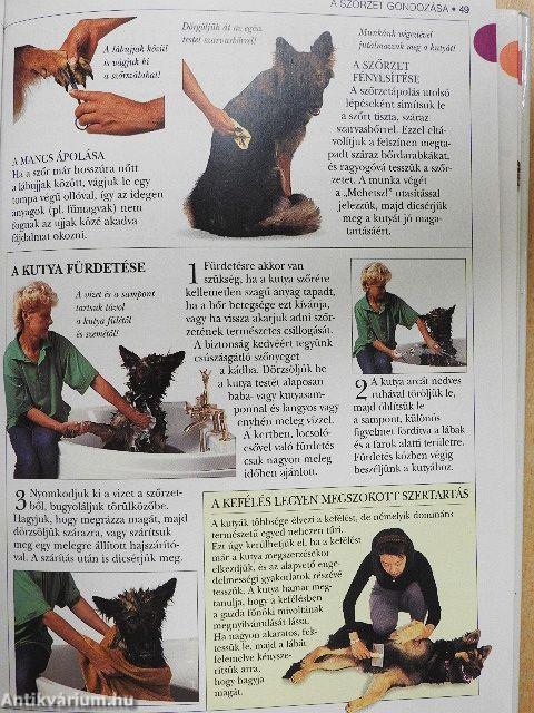 A német juhászkutya