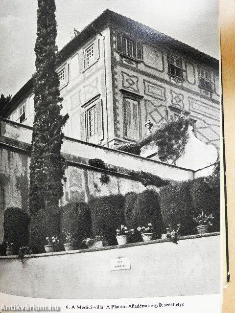 Kőbe zárt fájdalom