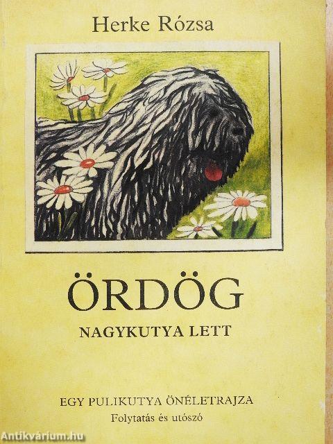Ördög nagykutya lett