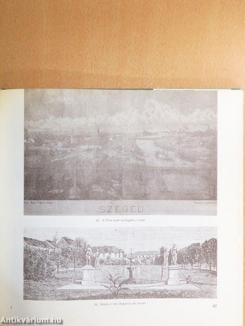 A szegedi nagyárvíz képeskönyve