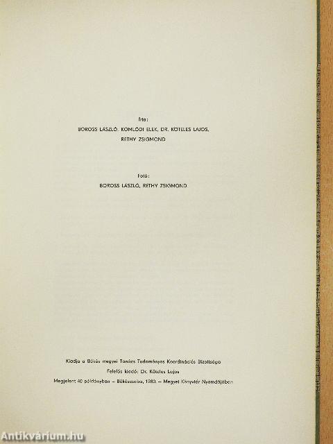 Ajánlás Békés megye idegenforgalmi koncepciójához