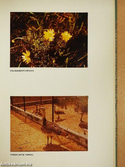 Ajánlás Békés megye idegenforgalmi koncepciójához