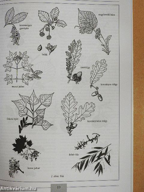 Óvodások környezeti nevelése