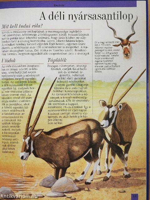 Az afrikai sivatagok és Madagaszkár állatvilága