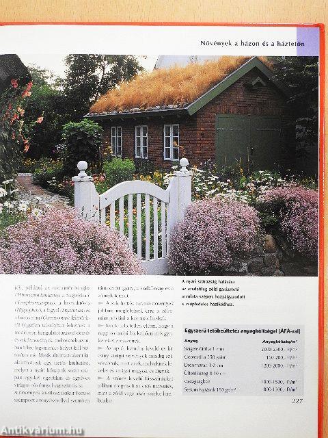 Kertünk kialakítása