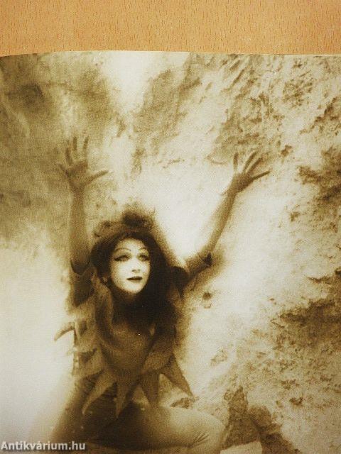 A fából faragott királyfi nyomán