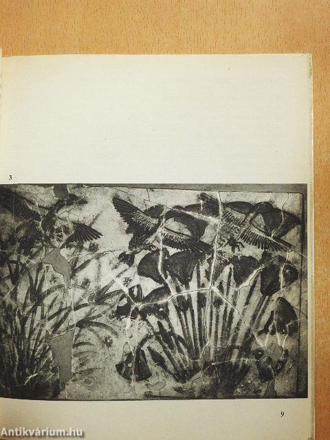 Virágok, madarak...