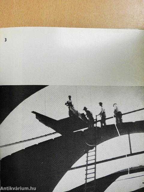 Moholy-Nagy László munkássága