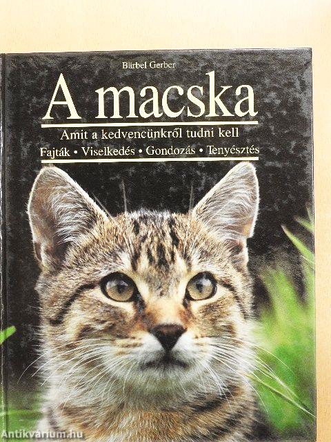 A macska