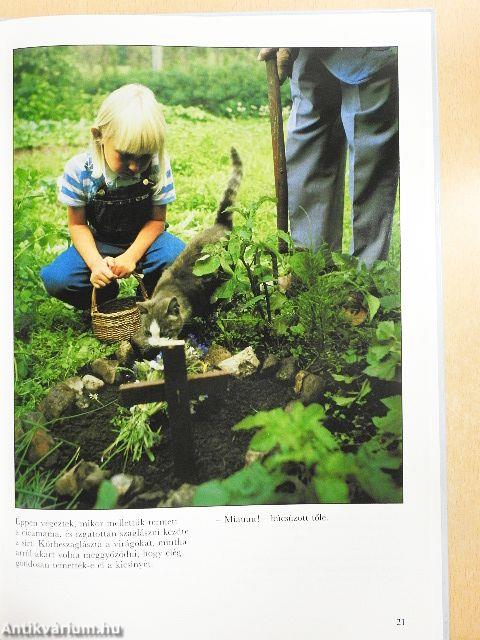 Nagyapa meg én és az elmúlás