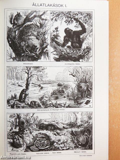 Révai nagy lexikona 1-21./Magyarország a XX. században I-II.