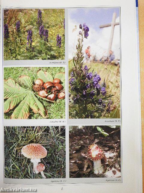 A homeopátia kézikönyve